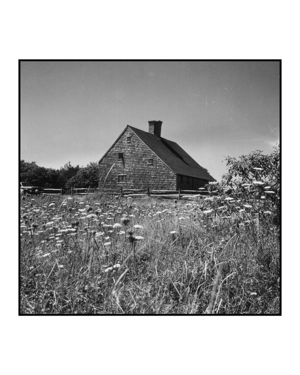 Queen Ann?s Lace and the Oldest House