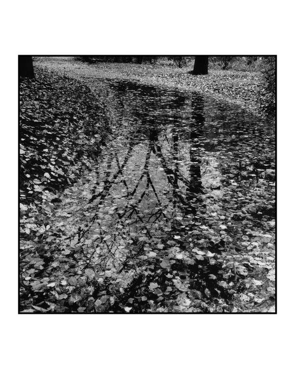 Fall Puddle II