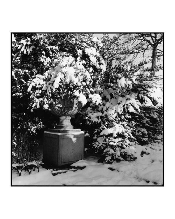 The Urn in Winter