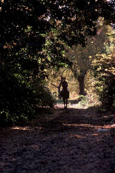 On the Trail