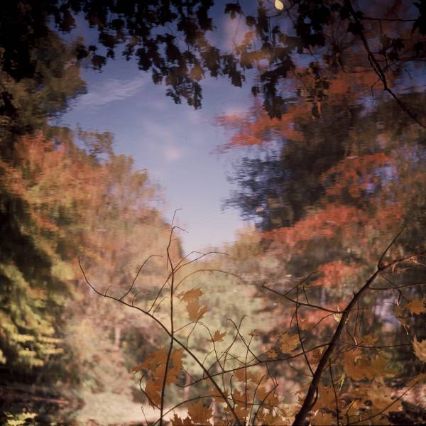 Autumn at the Lake II