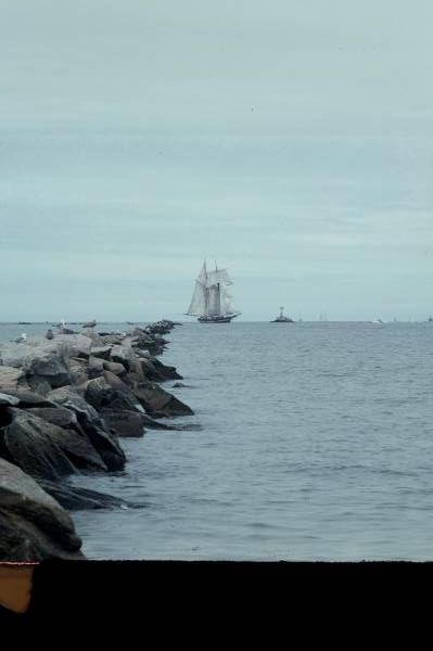 Topsail Schooner Arriving