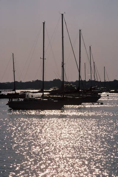 Visiting Schooners