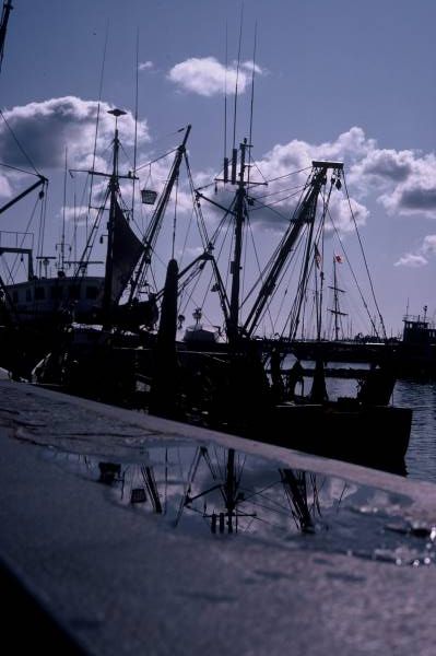 Fishing Boats