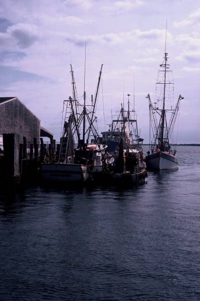 Fishing Boats II