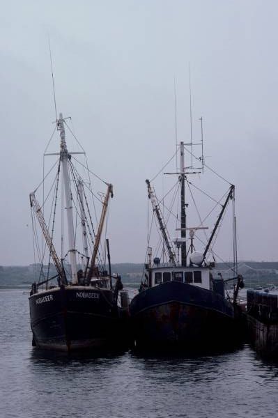 Fishing Boats III