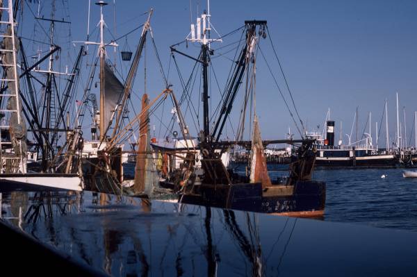 Fishing boats IV