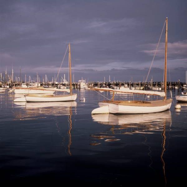 Catboats at Dusk