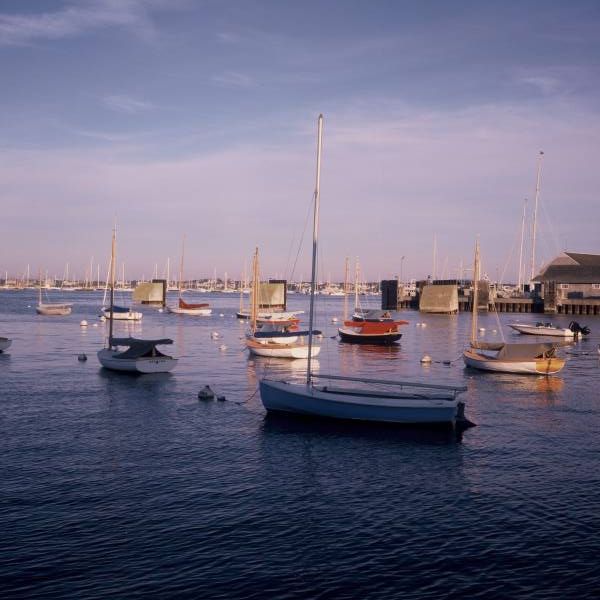 Dozing Catboats