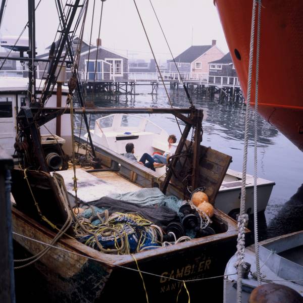 Fishing Boats II