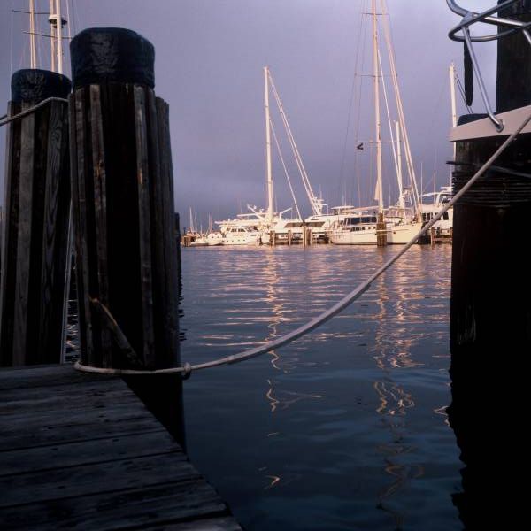 Ships at Outer Swain?s Wharf