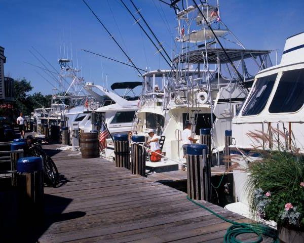 Cruising Motor Yachts