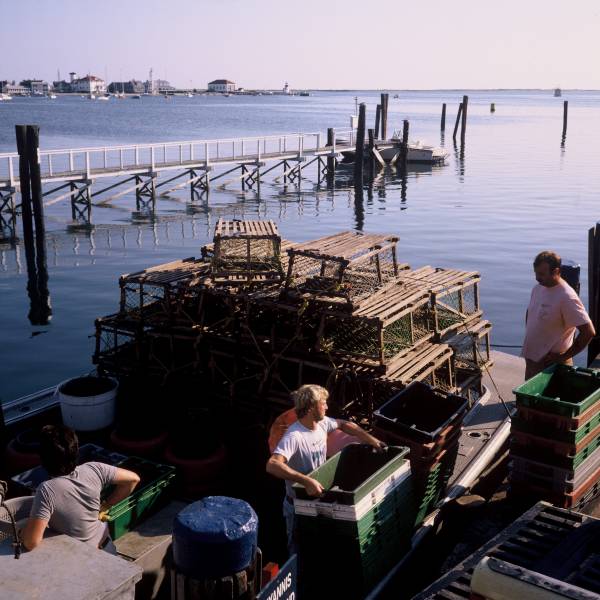 Lobstermen at the Town Pier