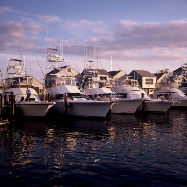 Marina Late Afternoon