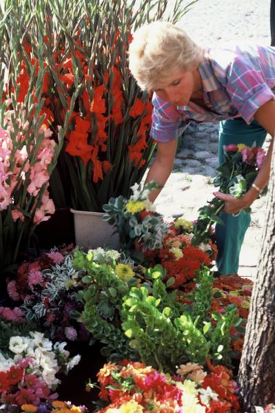 Main Street Flowers