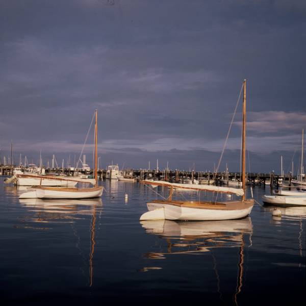 Catboats at Dawn