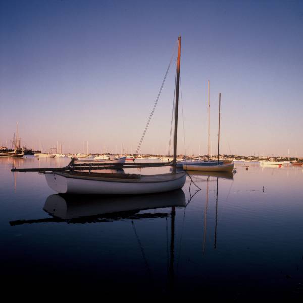 Morning Catboats