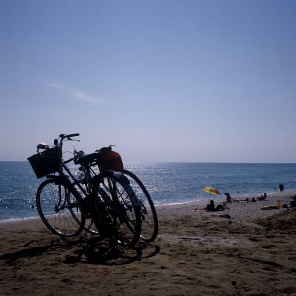 Cisco Beach Bicycles