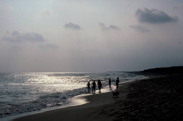 Evening on the Beach