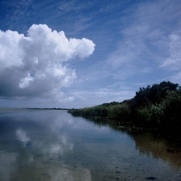 Sesachacha Pond I