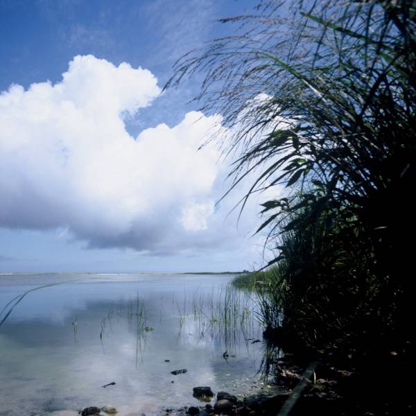 Sesachacha Pond II