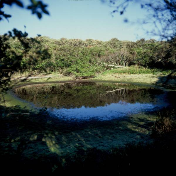 Mirror Pond II