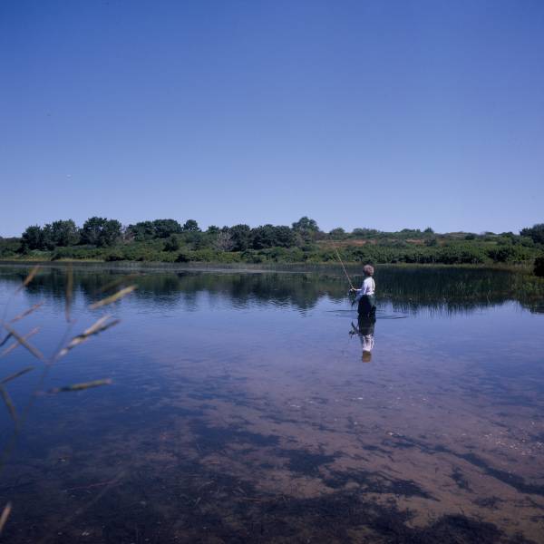 Maxcy?s Pond