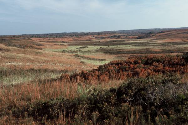 Madequecham Valley