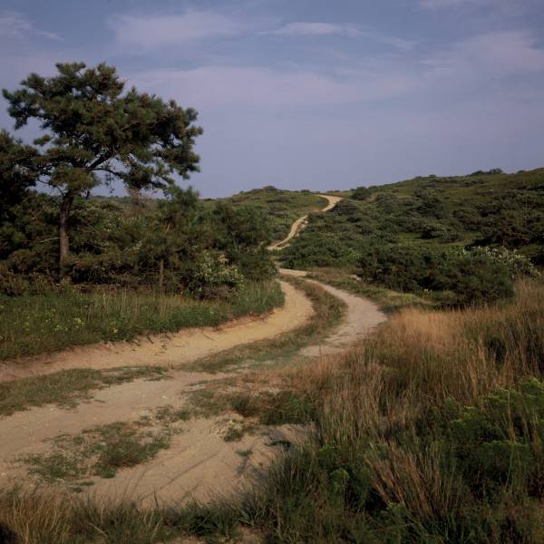 Road across the Moors