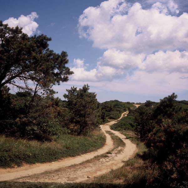 Road through the Moors