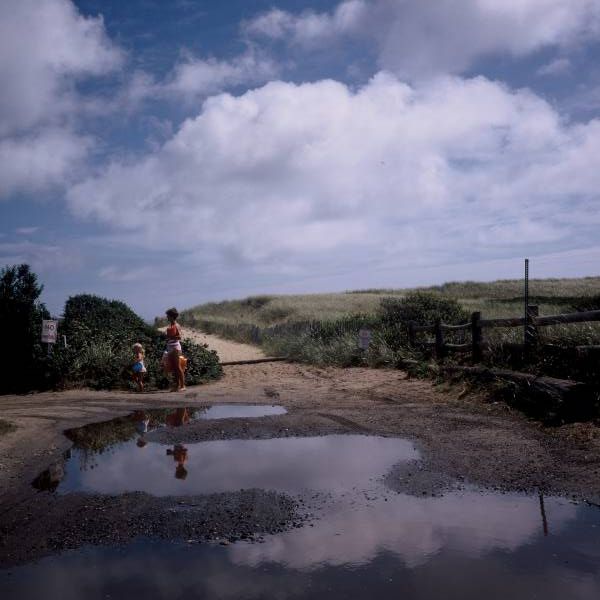 Quidnet Reflections