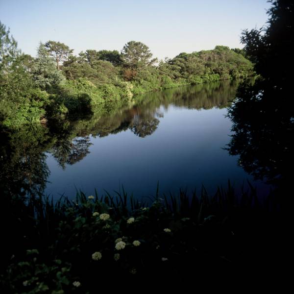 Reyes Pond