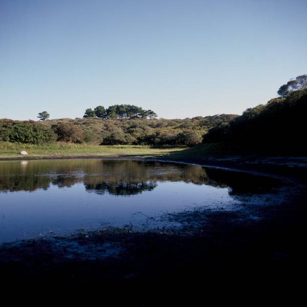 Mirror Pond