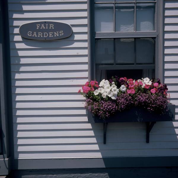 Fair Gardens Window-box