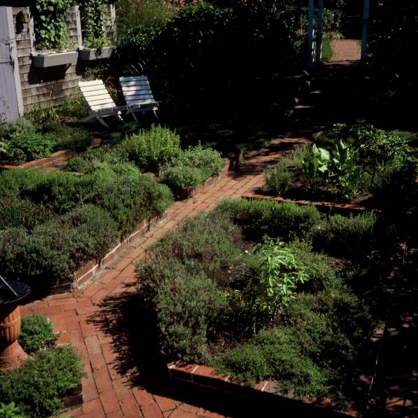 Herb Garden on Fair Street