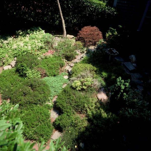 Herb Garden on Orange Street