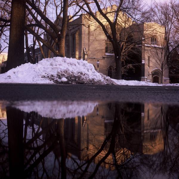 McCosh Reflection