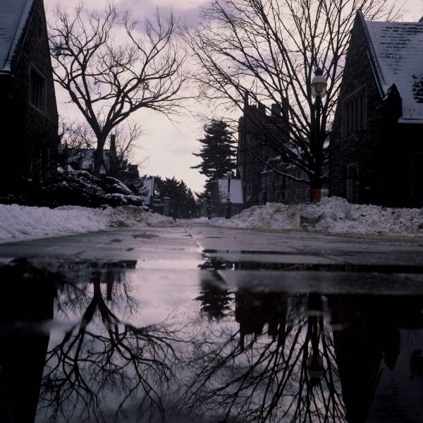 Lower Campus Reflections