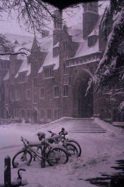 Bicycles by Lockhart in Snow