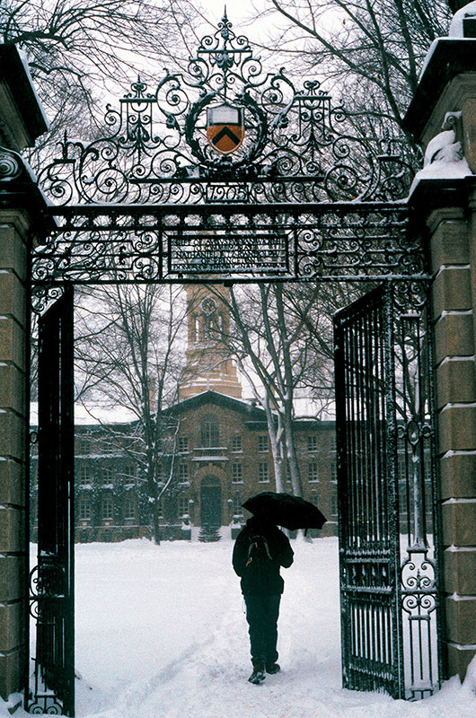 FitzRandolph Gates In Snow