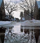 273_Lower_Campus_Reflections.jpg