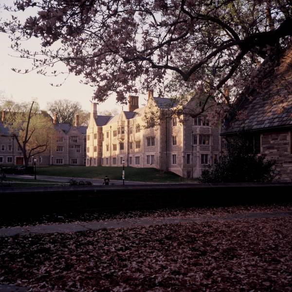 Little Hall at Dusk