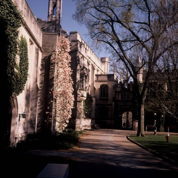 Dickinson Hall and Magnolias II