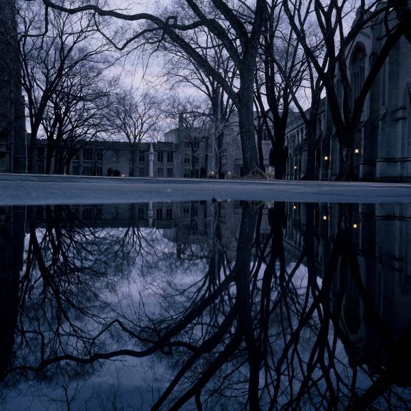 Dickinson & McCosh Reflections