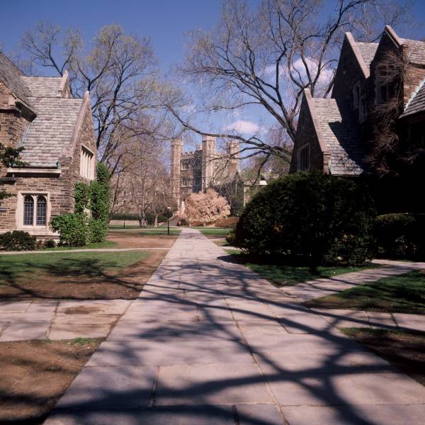 Lower Campus in the Spring