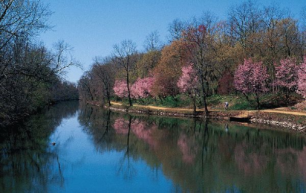 The Canal In Spring