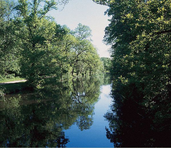 The Canal In Summer