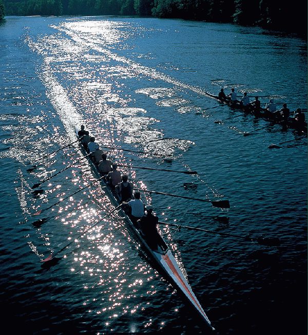 Rowing On The Lake