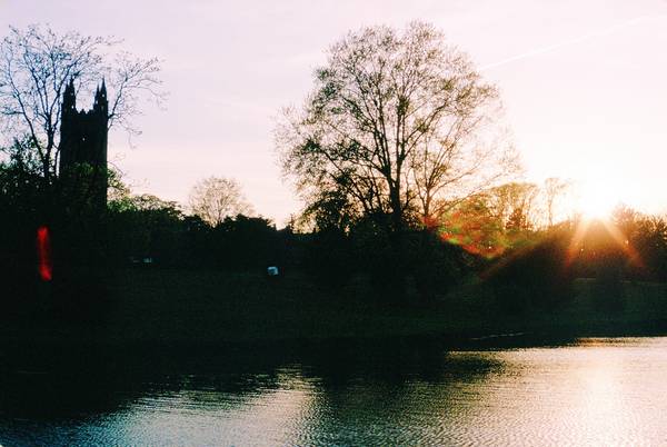 Springdale Lake Sunset