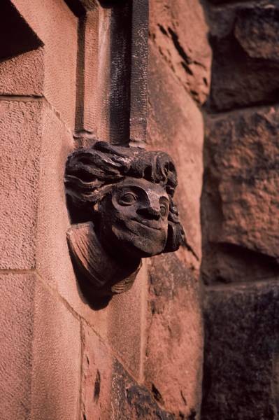 Bemused Gargoyle